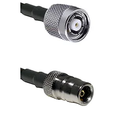 fieldcomponents202607172157441878478