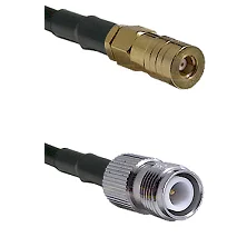 fieldcomponents202607172211031881230