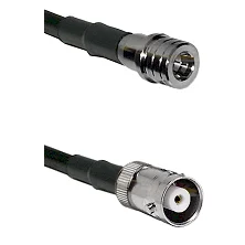 fieldcomponents202607172214541881964