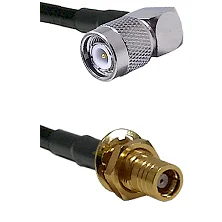 fieldcomponents202607172329011893319
