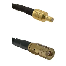 fieldcomponents202607180009291900166