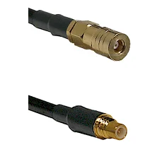 fieldcomponents202607180026501903606