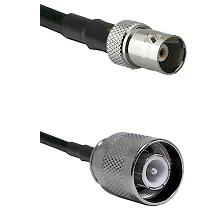 fieldcomponents202607180233431928815