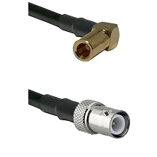 fieldcomponents202607180302451934937