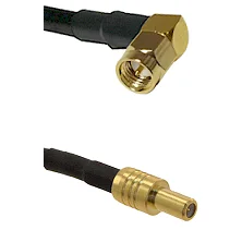 fieldcomponents202607180305101935461