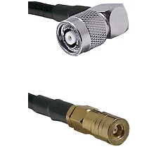 fieldcomponents202607180331441941068