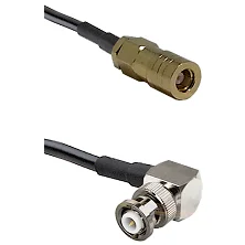 fieldcomponents202607180348481944769