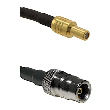 fieldcomponents202607180401301947436