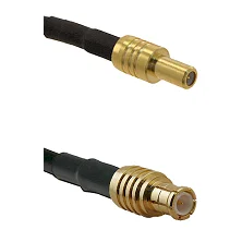 fieldcomponents202607180405211948257