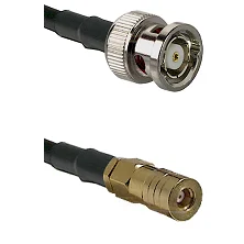 fieldcomponents202607180603271973529