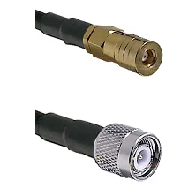fieldcomponents202607180604131973696