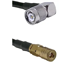 fieldcomponents202607180619491977106