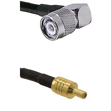 fieldcomponents202607180622591977767