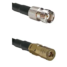 fieldcomponents202607180623011977770