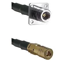 fieldcomponents202607180701091985879