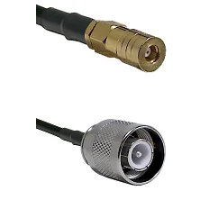 fieldcomponents202607180725401991445