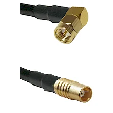 fieldcomponents202607181025502031757