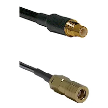 fieldcomponents202607181111462044347
