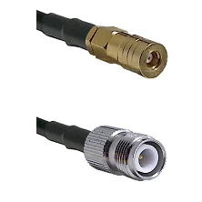 fieldcomponents202607181235042066014