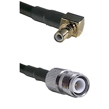 fieldcomponents202607181246462068896
