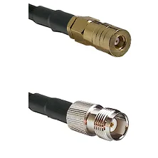 fieldcomponents202607181304052073216