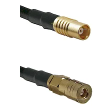 fieldcomponents202607181531272112996