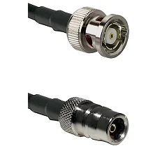 fieldcomponents202607181907552172354