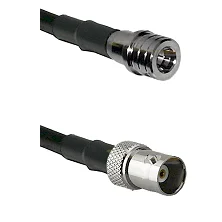 fieldcomponents202607182045442195335