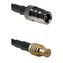 fieldcomponents202607190018042244677