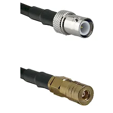 fieldcomponents202607190149412265827