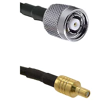 fieldcomponents202607190202402268673