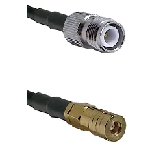 fieldcomponents202607190206192269506