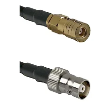 fieldcomponents202607190240232277272