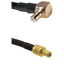 fieldcomponents202607190327332290964