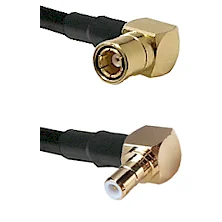 fieldcomponents202607190329222291499