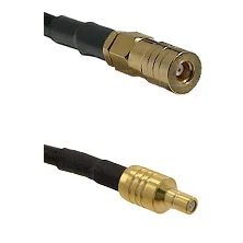 fieldcomponents202607190329402291590