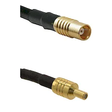 fieldcomponents202607190341222294998