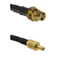 fieldcomponents202607190343192295558