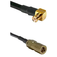 fieldcomponents202607190408482302554