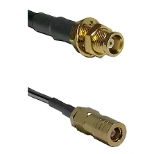 fieldcomponents202607190412262303595