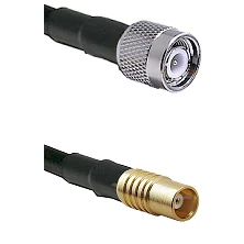 fieldcomponents202607190436022310373