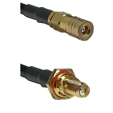 fieldcomponents202607190437132310686