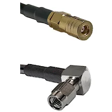 fieldcomponents202607190440532311751
