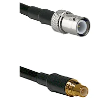 fieldcomponents202607190454002315528
