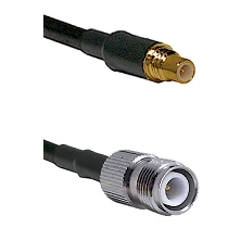fieldcomponents202607190500302317397