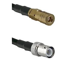 fieldcomponents202607190509072319877
