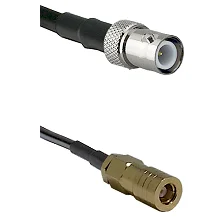 fieldcomponents202607190511392320653