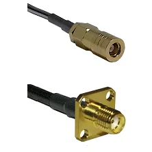 fieldcomponents202607190512302320910
