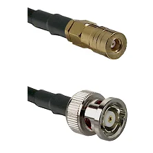fieldcomponents202607190515462321888