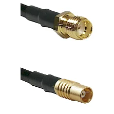 fieldcomponents202607190519302323065